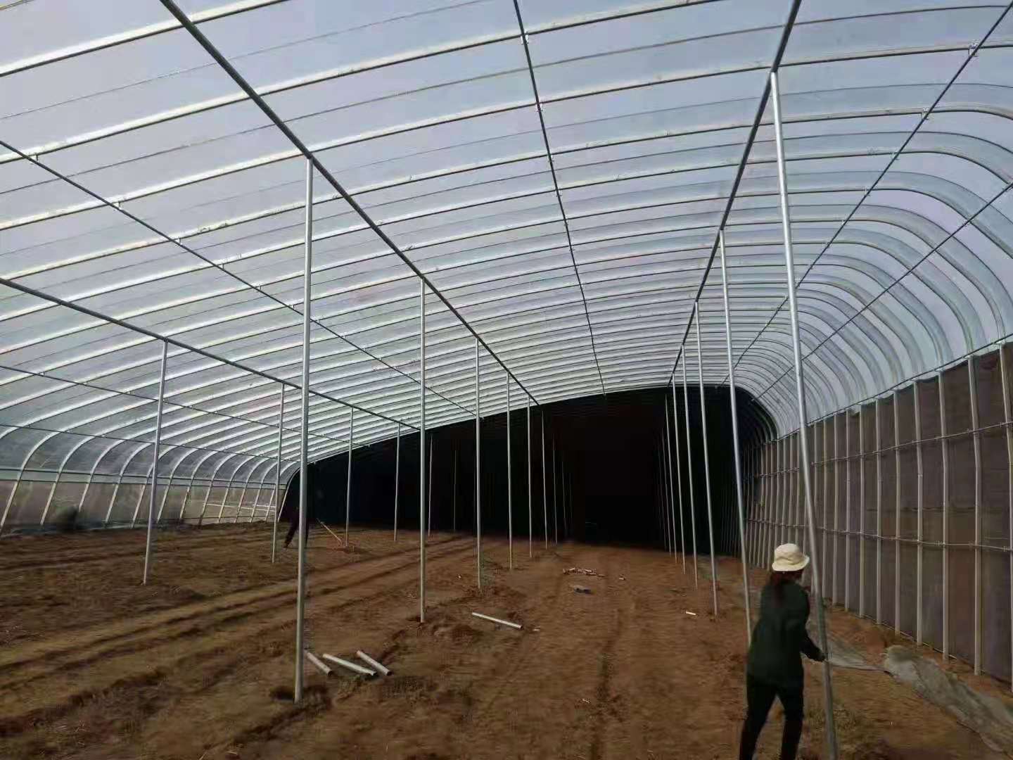 洲鹏农业  椭圆管插地棚   玻璃温室   连动大棚  齐齐哈尔
