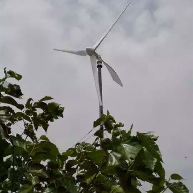 山东 蓝润 红灯笼式风力发电机 三项交流风力发电机 生产厂家