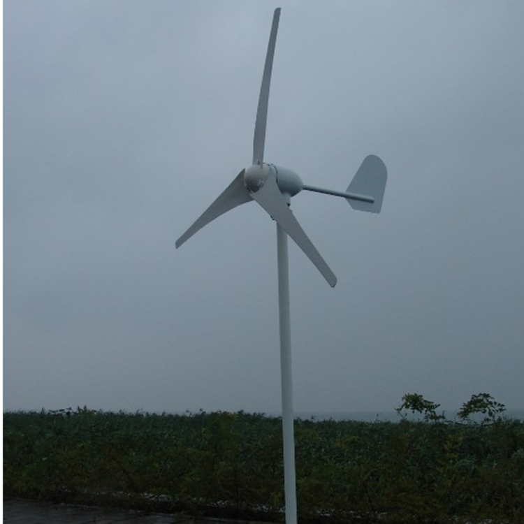 黑龙江 蓝润 风光互补风力发电机 纯正弦波工频逆变器 运行稳定