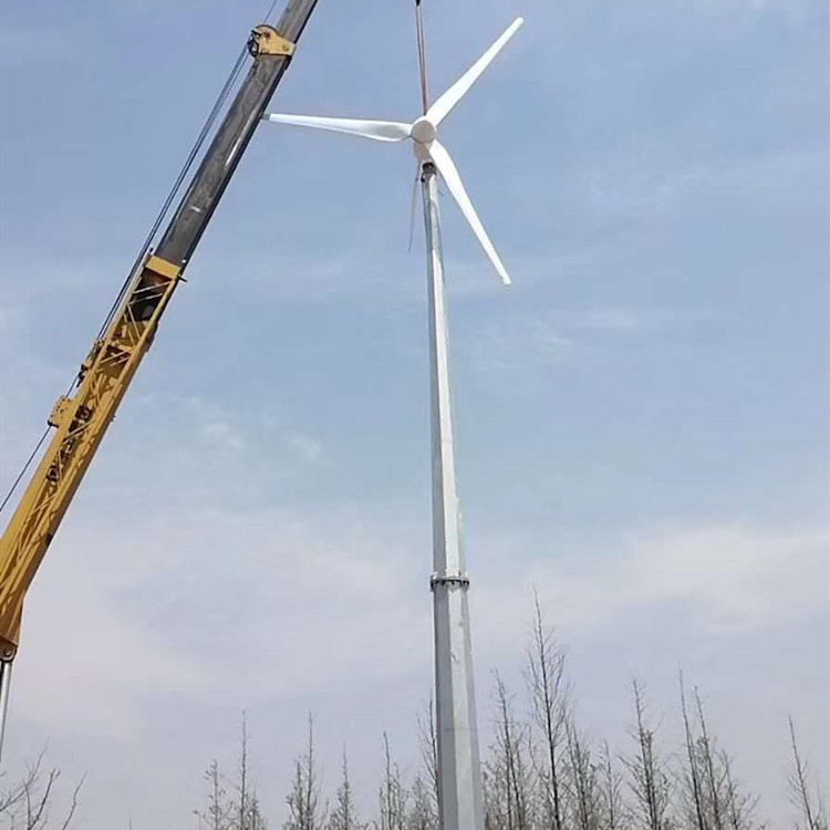 陕西红灯笼式风力发电机 蓝润草原用风力发电机 质优价低
