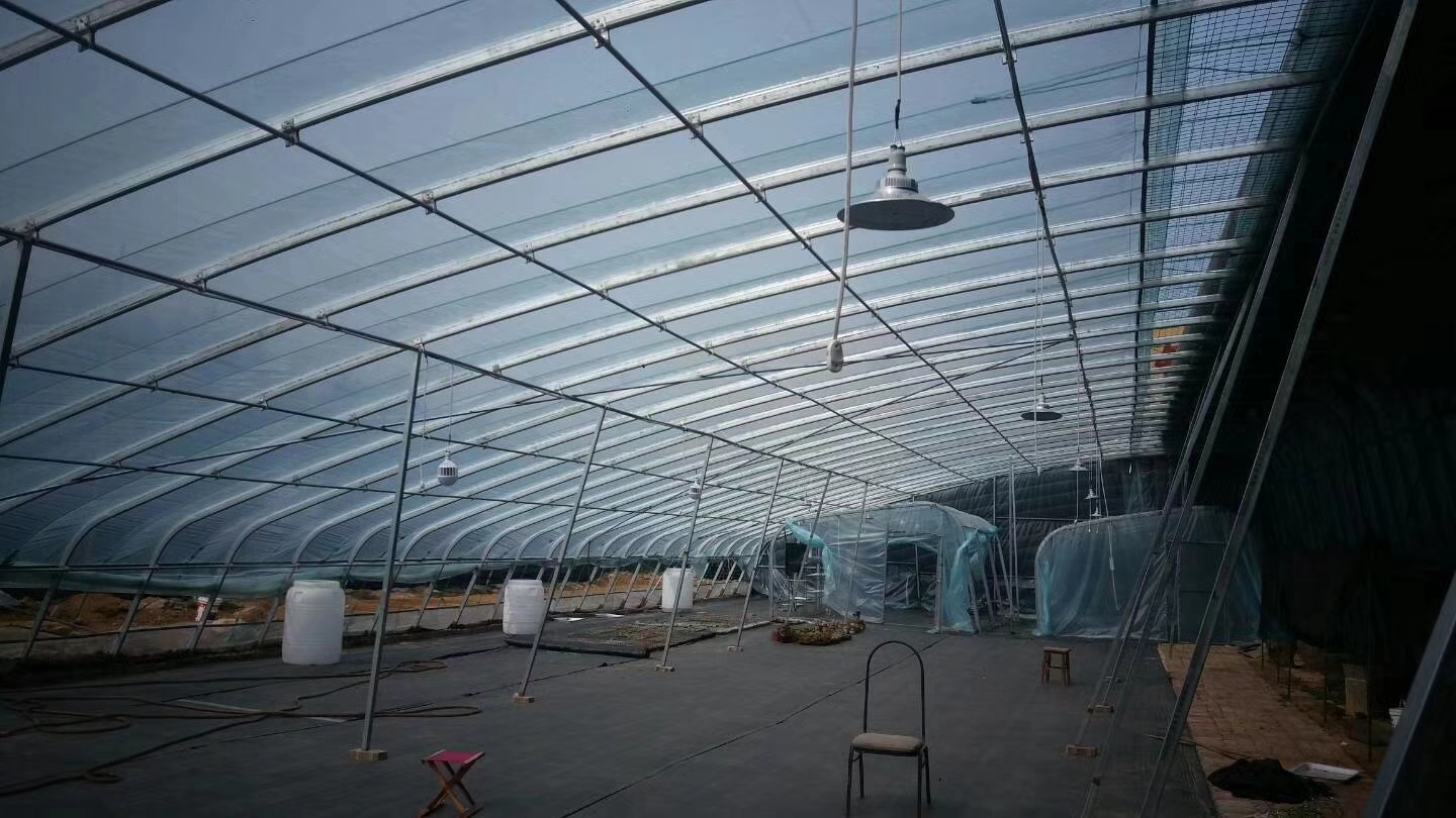 洲鹏农业 喀什  温室骨架  玻璃温室  质量保证