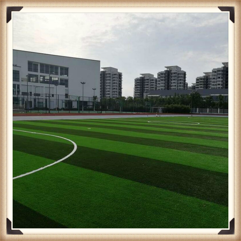 唐山足球场人造草坪工程 仿真人造草坪 足球场户外草坪图片