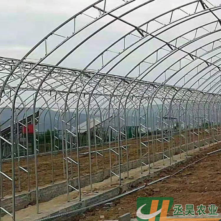 丞昊农业供应 云南 葡萄种植 C型钢温室 不易变形