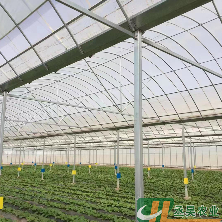 青州 薄膜温室 丞昊农业供应 草莓种植 抗风能力强