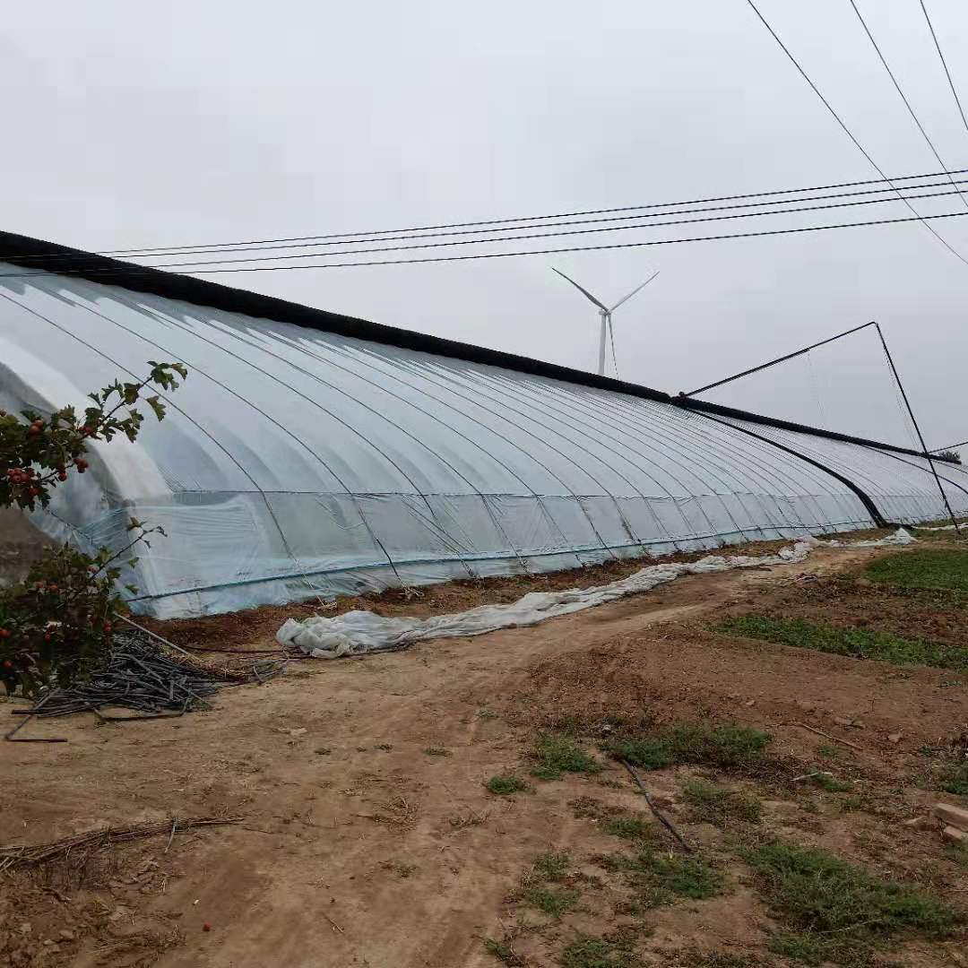洲鹏农业 喀什  温室骨架  玻璃温室  质量保证