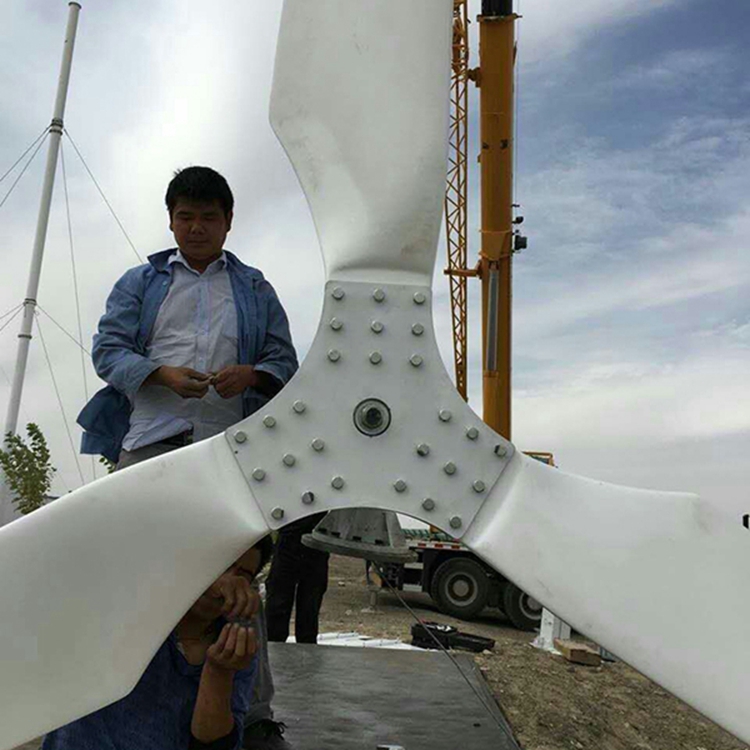 梅列晟成风力发电机 机型设计合适 10千瓦风力发电机