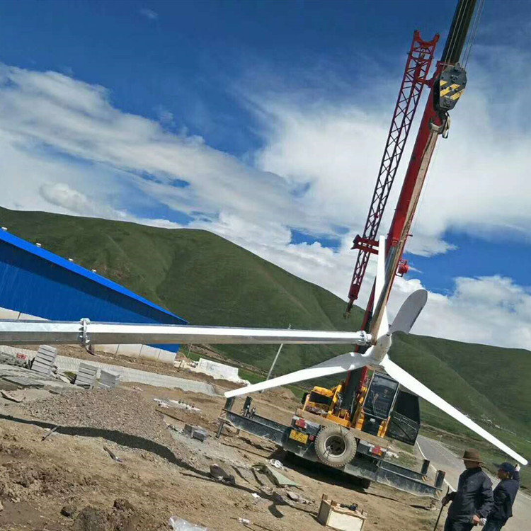 山东 蓝润 红灯笼式风力发电机 三项交流风力发电机 生产厂家