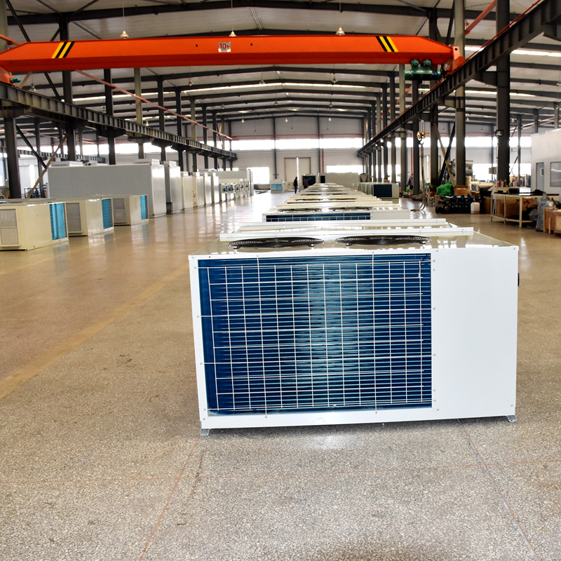 恩特莱厂家供应整体式屋顶空调机组 WRF26Z屋顶式热泵空调机组