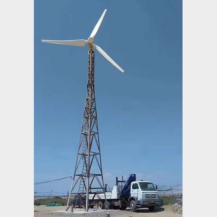 清水晟成  风力发电机组放心购买  30千瓦风力发电机