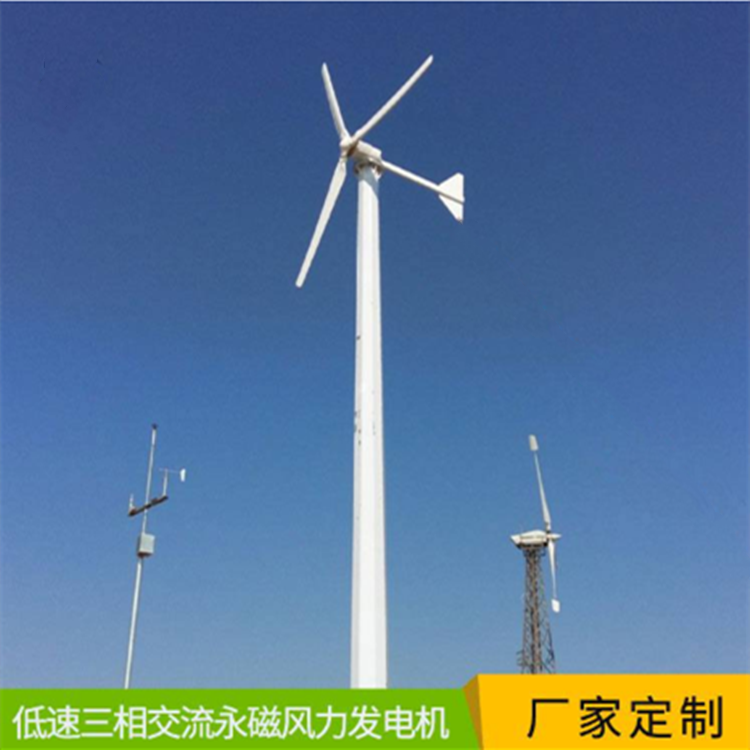 黑龙江蓝润风力发电机户外运动振动低