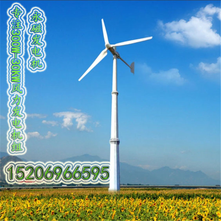 深圳市10KW离网风力发电机 风力发电机220v 定制产品