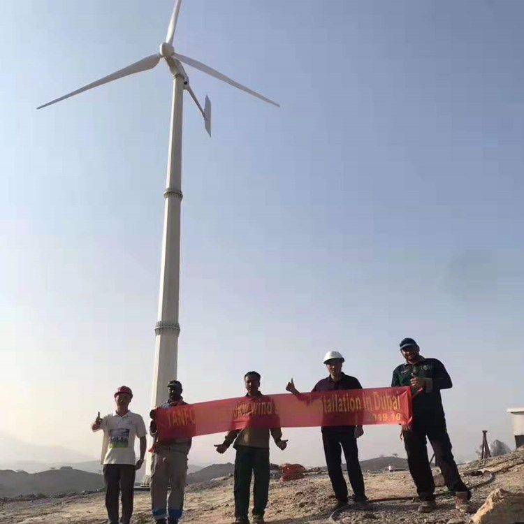 安徽 蓝润 小型家用风力发电机 微型风力发电机家用 环保节能
