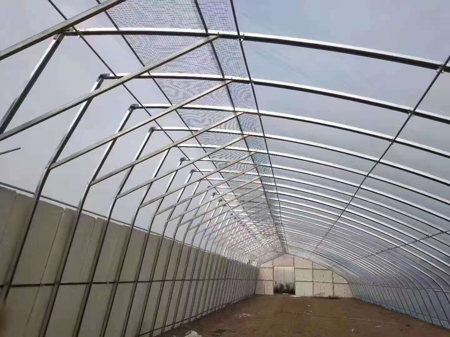 洲鹏农业  椭圆管暖棚   温室资材   玻璃大棚  齐齐哈尔