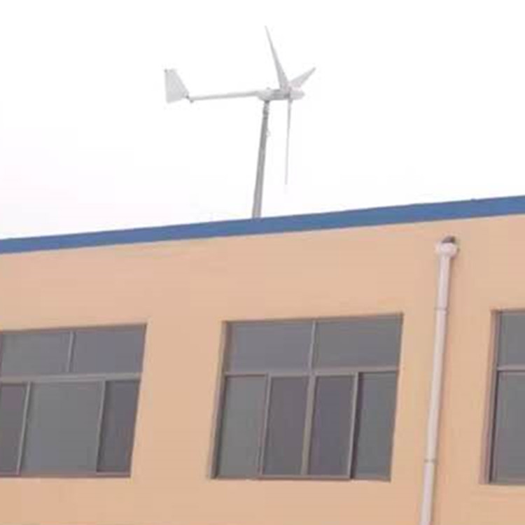 四川 蓝润 离网家用风力发电机 山顶风力发电机 经济实用型