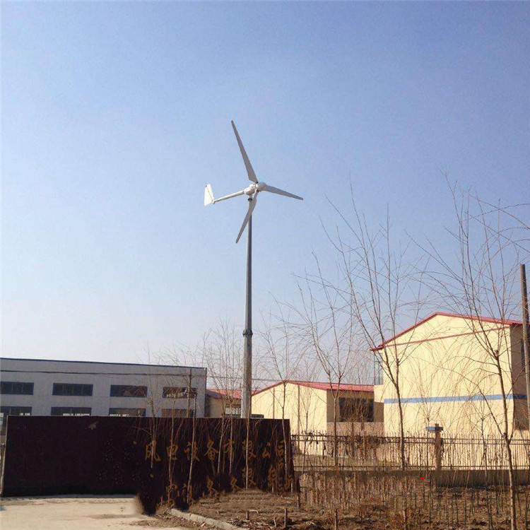 上海 蓝润 风光互补风力发电机 风光互补太阳能路灯 经济实用型
