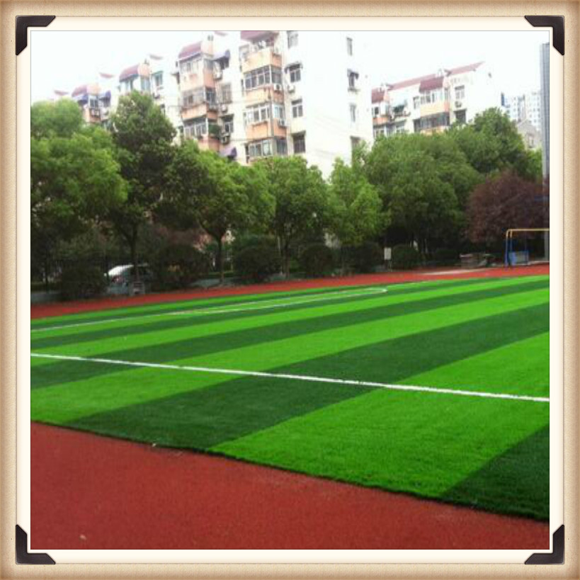 石家庄足球场人造草坪 人造草网球场 足球场天然草坪