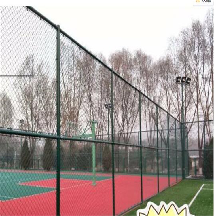 古道 包塑球场护栏 包塑勾花防护网 4米高