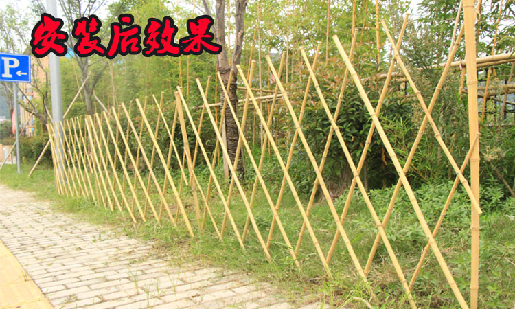 枣庄市竹篱笆 碳化木护栏荆门市沙洋县竹围栏碳化竹围栏