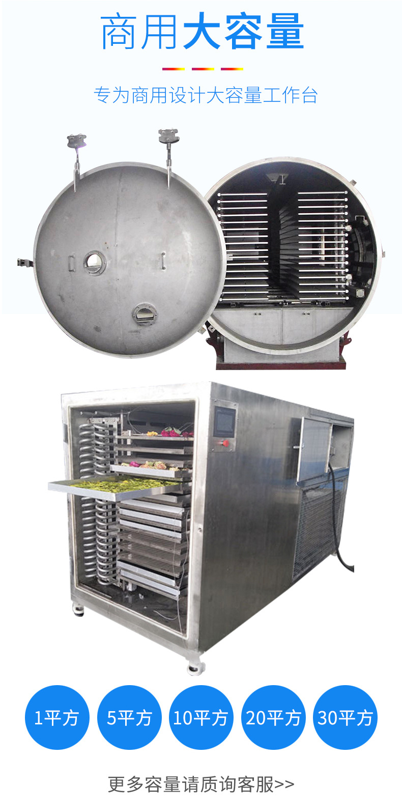 顺意FD20 果蔬冻干设备 冻干粉冻干设备 调味品真空冻干设备