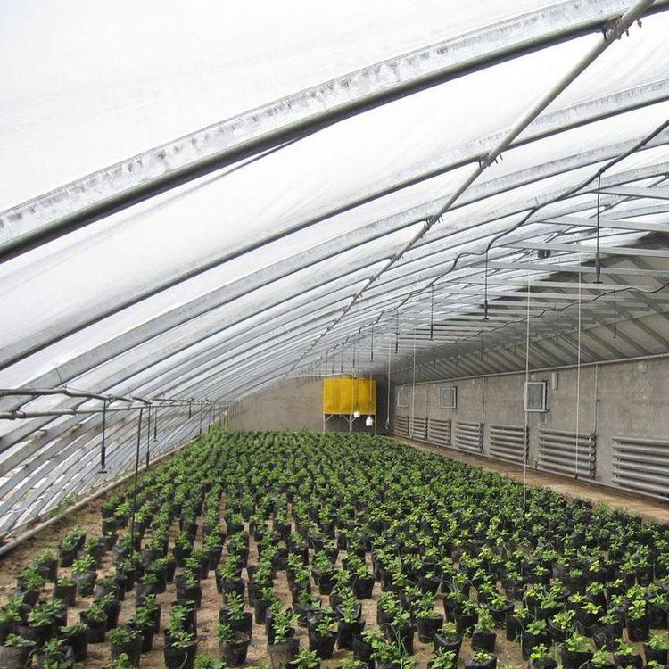 鑫泽玻璃温室厂家 种植瓜果玻璃温室大棚建设 育苗玻璃温室 人性化设计