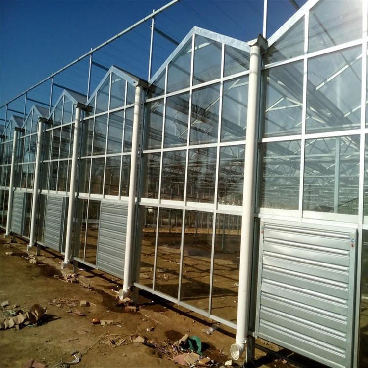 智能玻璃温室 玻璃温室大棚建设 玻璃温室大棚 大小可定制